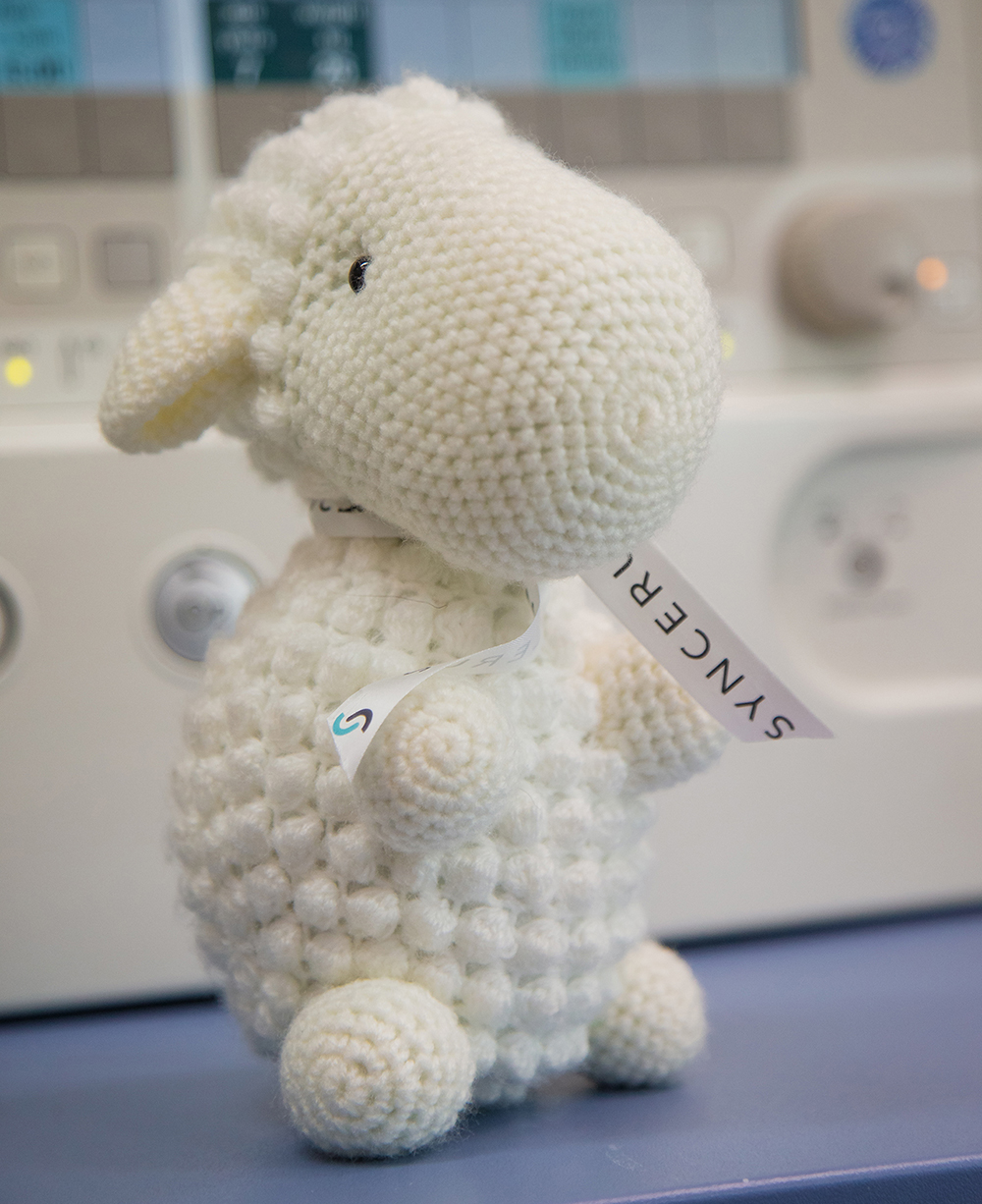 Syncerus Care Anaesthesia for Children Image