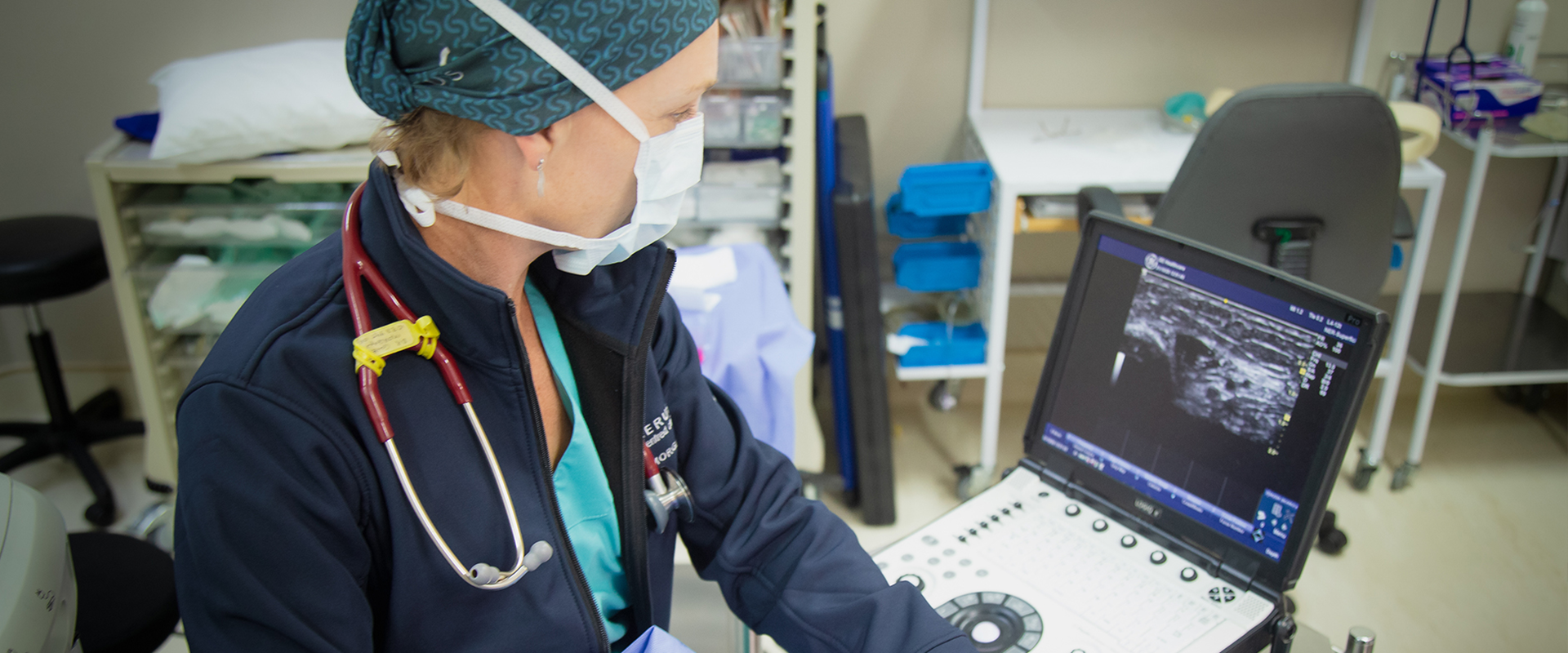 Syncerus Regional Anaesthesia Training Image